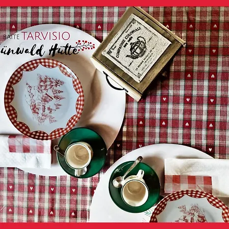 木屋 Gruenwald Huette 塔尔维西奥